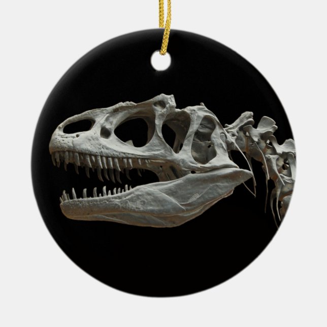 Dinosaur Skeleton Ornament (Vorne)