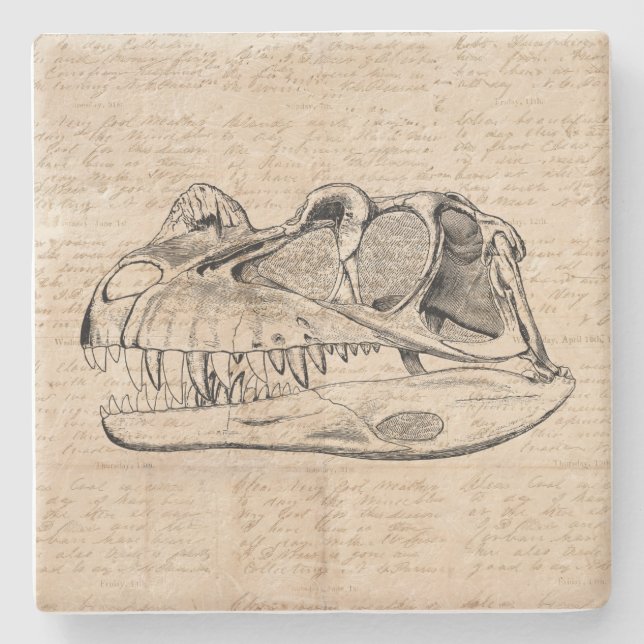 Dinosaur Skull Illustration & Antique Script Paper Steinuntersetzer (Vorderseite)