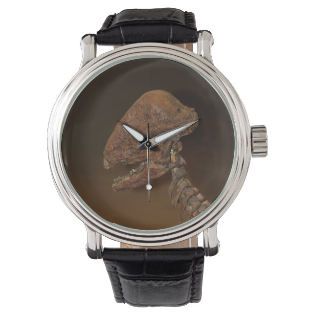 Dinosaur Skull T-Rex Dino Skeleton Head Bone Foto Armbanduhr (Vorderseite)