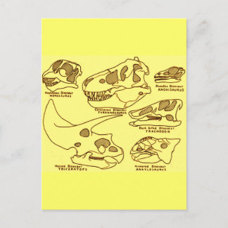 Dinosaur Skulls Postkarte