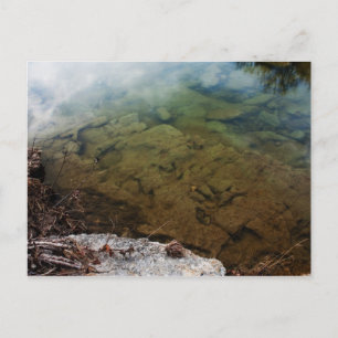 Dinosaur Trails en Texas 3 cartes postales