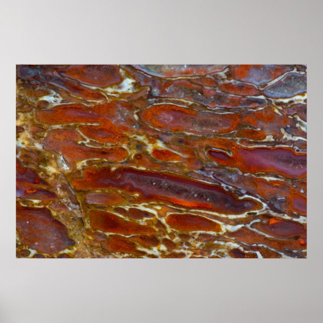 Dinosaur versteinerten Bone Poster (Vorne)