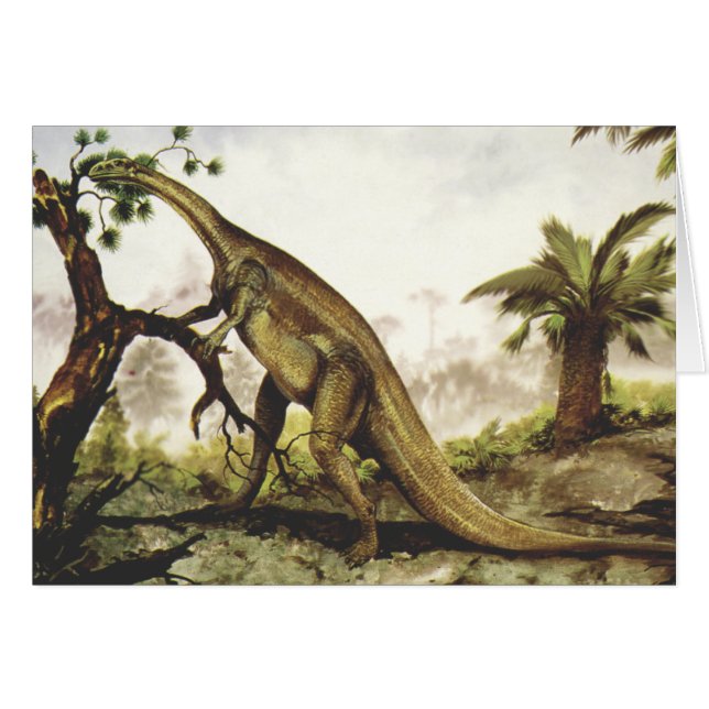 Dinosaures vintages, Plateosaure Pâturage sur les  (Devant horizontal)