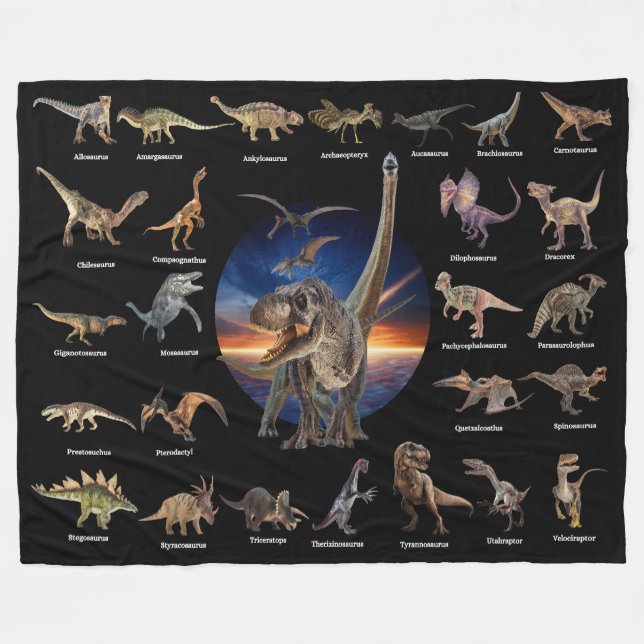 Dinosaurier: Das Jurassische Zeitalter schwarzer F Fleecedecke (Vorderseite (Horizontal))