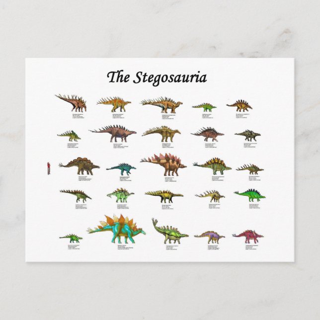 Dinosaurier-Diagramm Feiertagspostkarte (Vorderseite)