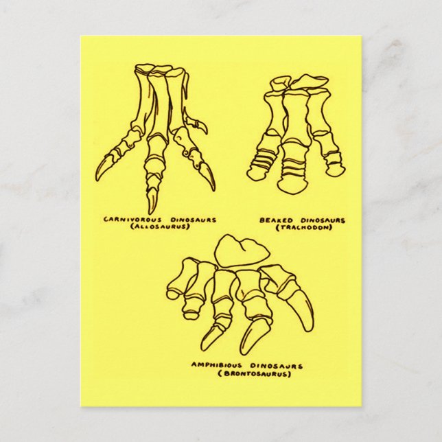Dinosaurier Foot Bones Postkarte (Vorderseite)