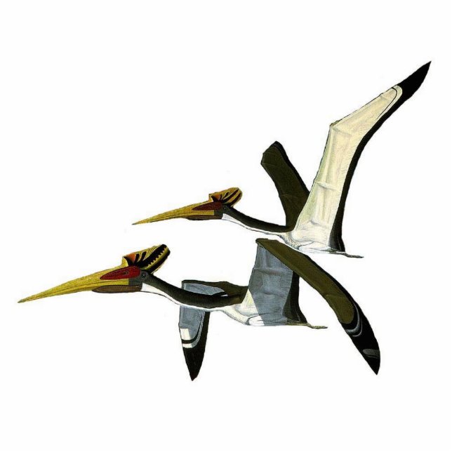 Dinosaurier-Foto-Skulptur Pterosaurs Gregory Paul Freistehende Fotoskulptur (Vorne)