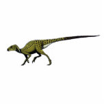 Dinosaurier-Foto-SkulpturHeterodontosaurus Freistehende Fotoskulptur<br><div class="desc">Basiert weg Farbvon der grafik Gregorys Pauls,  ist dieses etwas kleiner,  als das andere sculpts. Wenn die meisten Leute die großen gefährlichen dinos wollen,  dieses sollte eine Rarität sein.</div>