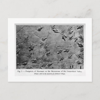 Dinosaurier Fußabdrücke Kunst Postkarte