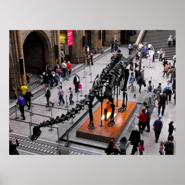 Dinosaurier im Museum für Naturgeschichte Poster (Vorne)