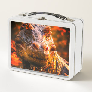Dinosaurier Metall Brotdose