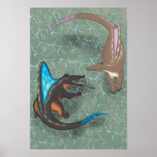 Dinosaurier-Poster - Secodontosaurus Poster