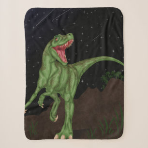 Dinosaurier - Prähistorische Nacht Sherpadecke
