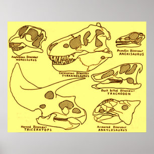 Dinosaurier-Schädel Poster