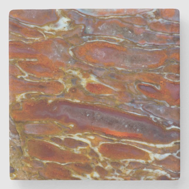 Dinosaurier Steinuntersetzer (Vorderseite)