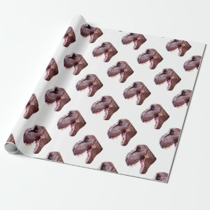 Dinosaurier T-Rex Geschenkpapier