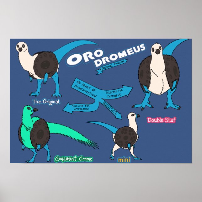 Dinosaurierposter - Orodromeus Poster (Vorne)