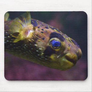 Diodon holocanthus mousepad