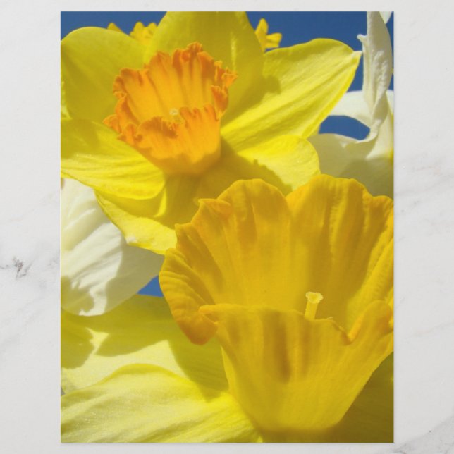 Diözese Blume Scrapbooking Papier Scrapbook (Vorderseite)
