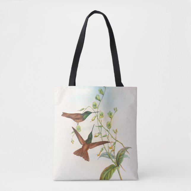 Diphogena Aurora Goulds Regenbogen von John Gould  Tasche (Vorderseite)