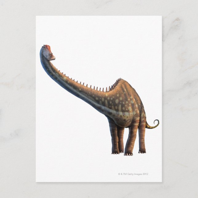 Diplodocus Postkarte (Vorderseite)