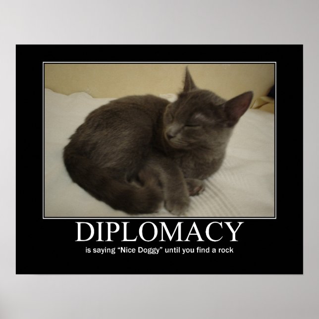 Diplomacy Cat Artwork Poster (Vorne)