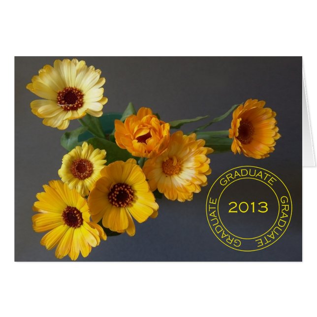 DIPLÔMÉ 2013 (Devant horizontal)