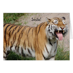 Dire la carte de tigre au fromage