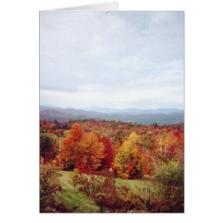 "Direkt hinter dem Haus"