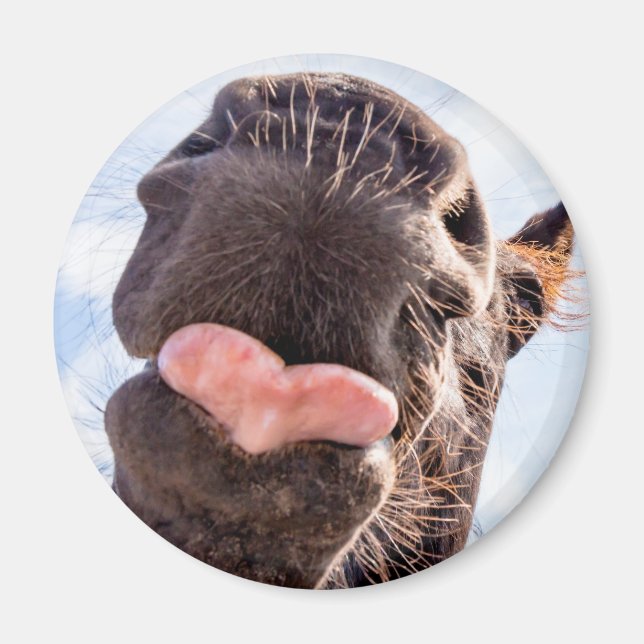 Direkt vom Foto des Mund-Funny-Pferdes Magnet (Vorne)