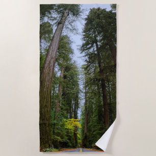 Direkte Straße vor dem Misty Redwood Wald Strandtuch