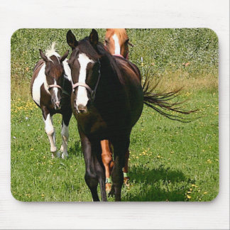 Diriger à la maison le tapis de souris