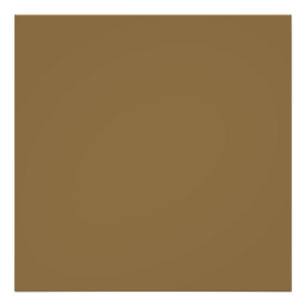 Dirt Brown (Vollfarbe) Fotodruck