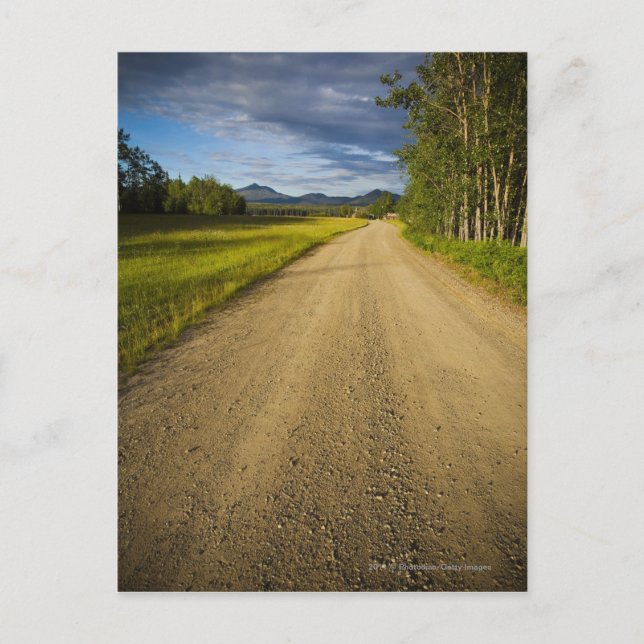 Dirt Road in Eagle, Alaska Postkarte (Vorderseite)