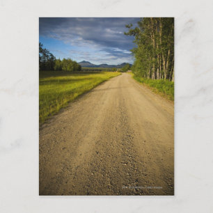 Dirt Road in Eagle, Alaska Postkarte