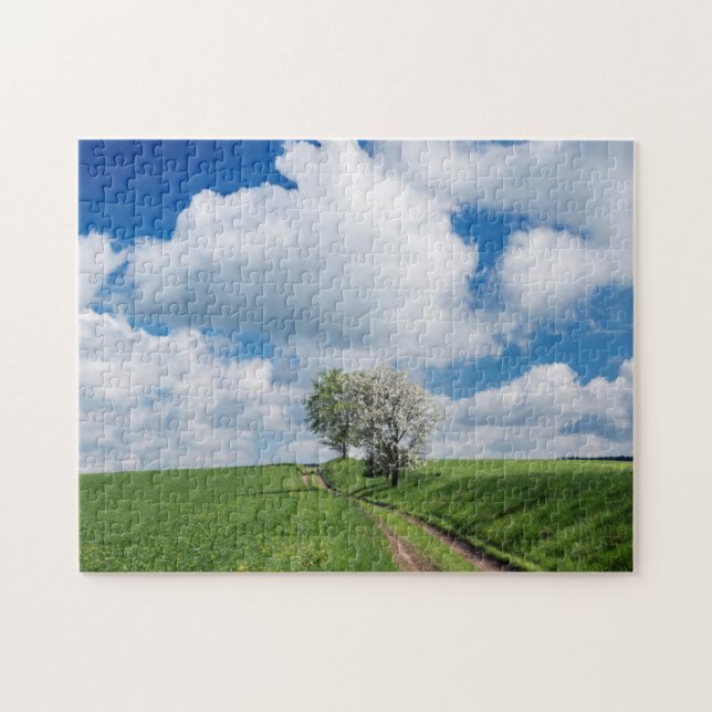 Dirt Road und Apfelbäume (Horizontal)