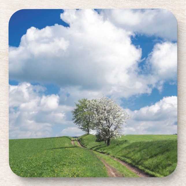 Dirt Road und Apfelbäume Untersetzer (Vorderseite)