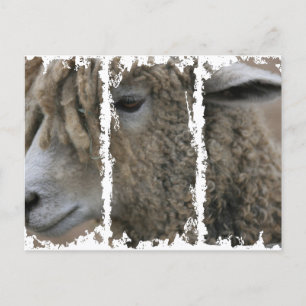 Dirty 3Tall Boxes Postkarte