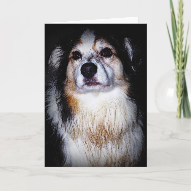 Dirty Digger Doggie Karte (Vorderseite)