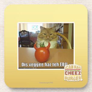 DIS veggee haz das EBIL Getränkeuntersetzer