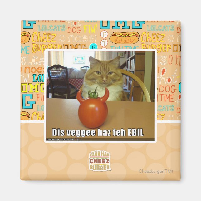 Dis veggee haz EBIL Magnet (Vorne)