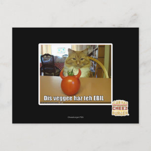 Dis veggee haz EBIL Postkarte