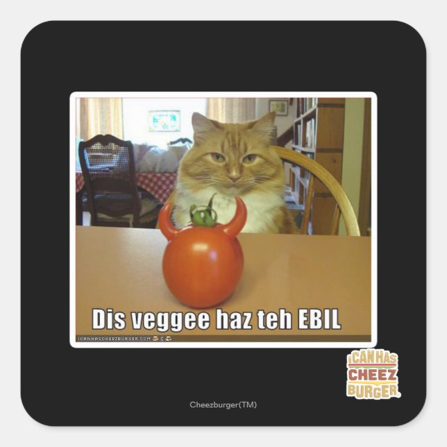 Dis veggee haz EBIL Quadratischer Aufkleber (Vorderseite)