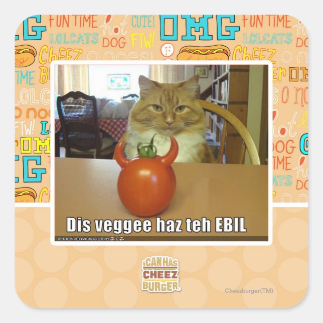 Dis veggee haz EBIL Quadratischer Aufkleber (Vorderseite)