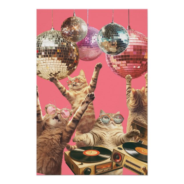 Disco Cat Poster (Vorderseite)