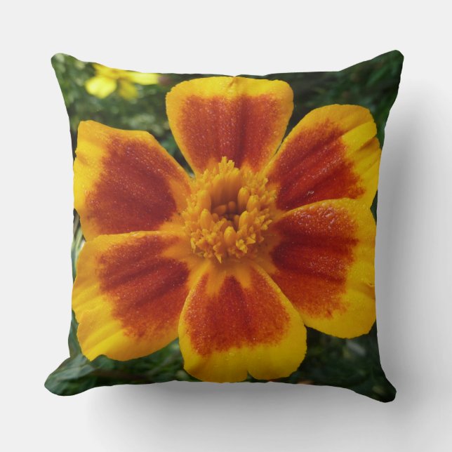 Disco Marigold Orange and Red Summer Blume Kissen (Vorderseite)