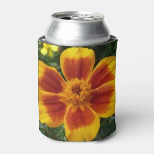 Disco-Marigold Orange und rote Sommerblume Dosenkühler