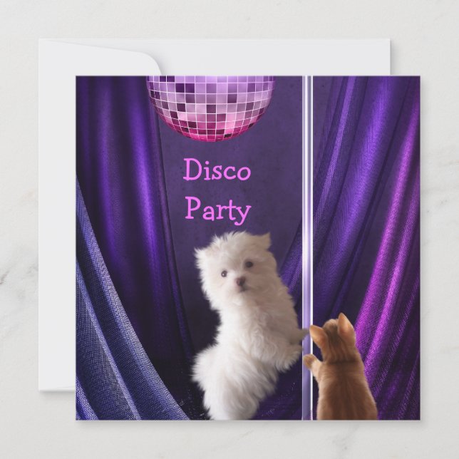 Disco Party Hund Katze Maltesisch Bachelorette Einladung (Vorderseite)