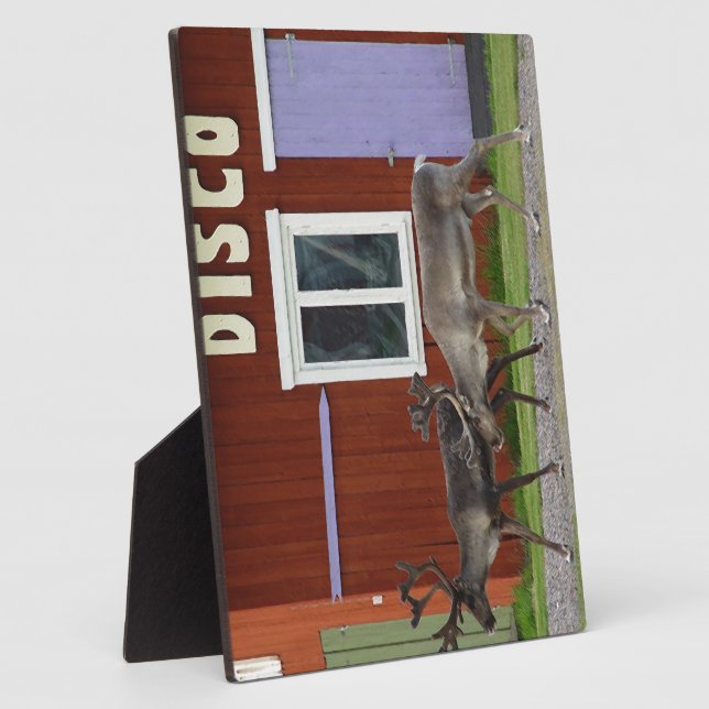 DISCO-ROTWILD FOTOPLATTE (Seite)