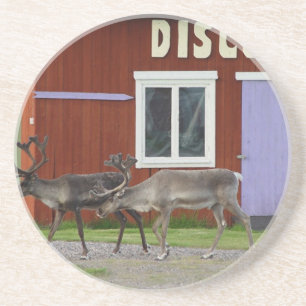 DISCO-ROTWILD SANDSTEIN UNTERSETZER